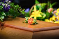 траурна агенция - 60291 бестселъри